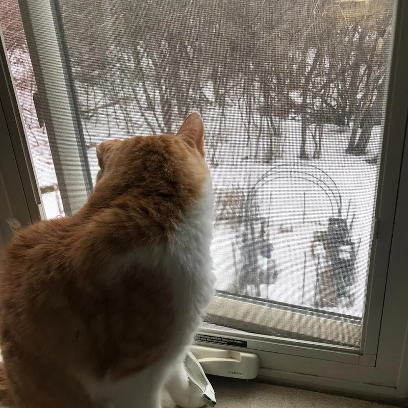 Chatterbox thumbnail 5