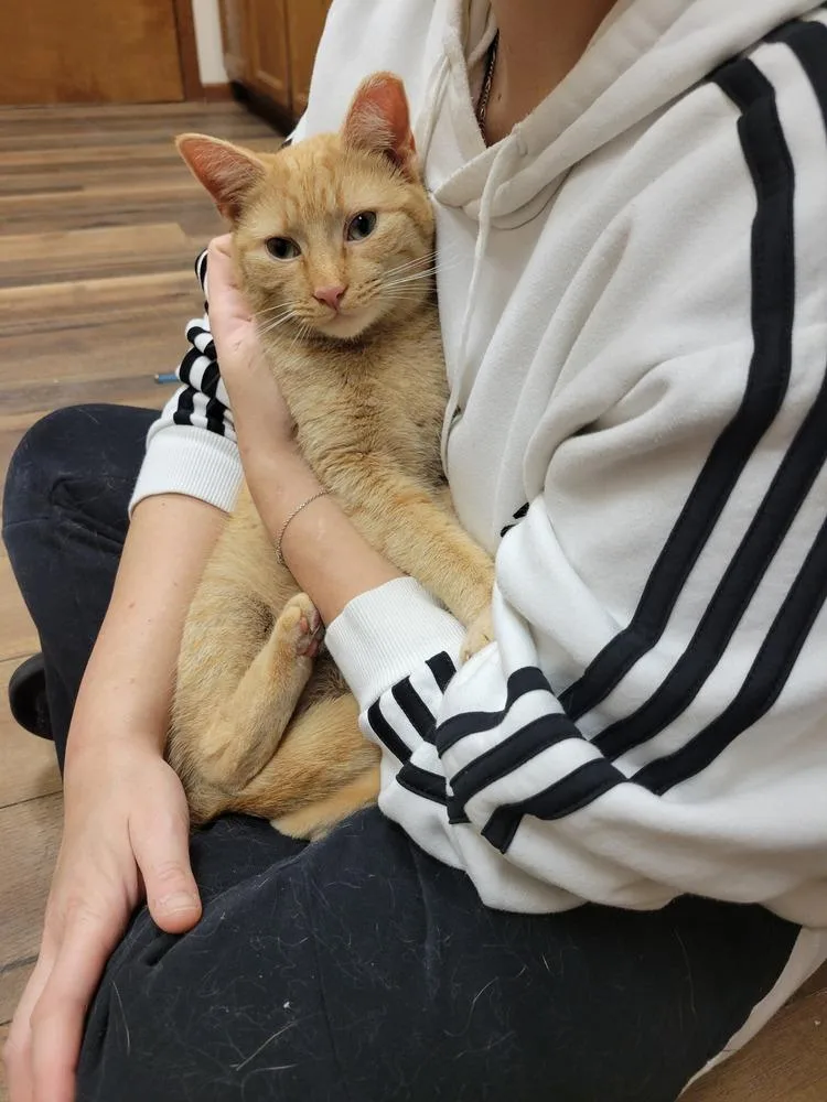 Shiloh thumbnail 5