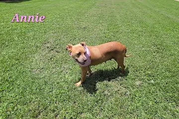 Annie thumbnail 2