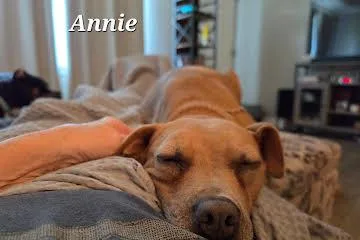 Annie thumbnail 4