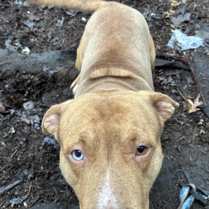 O'malley thumbnail 2