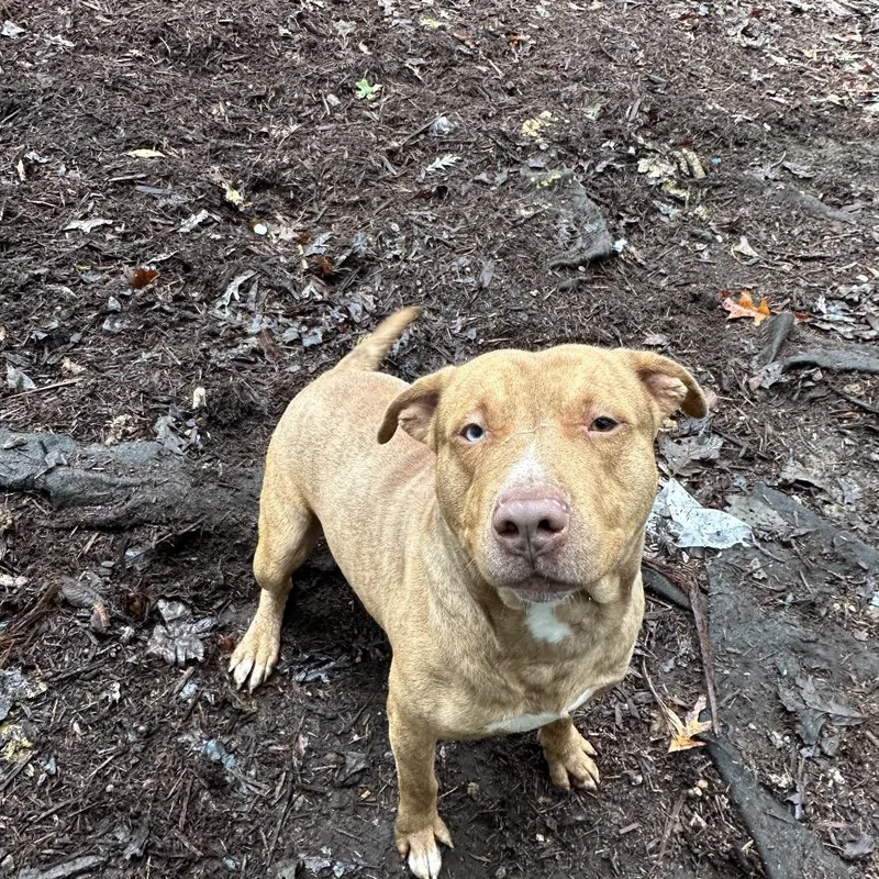 O'malley thumbnail 3