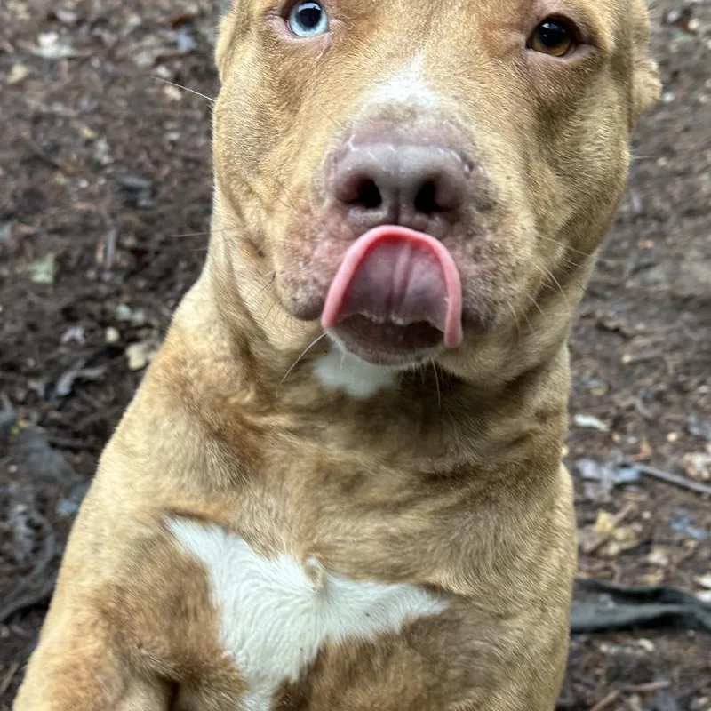 O'malley thumbnail 4