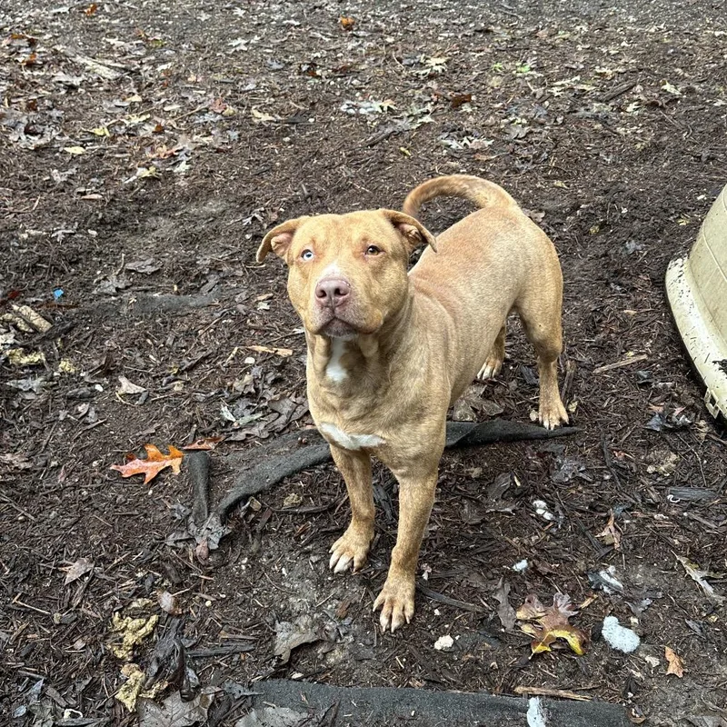 O'malley thumbnail 5