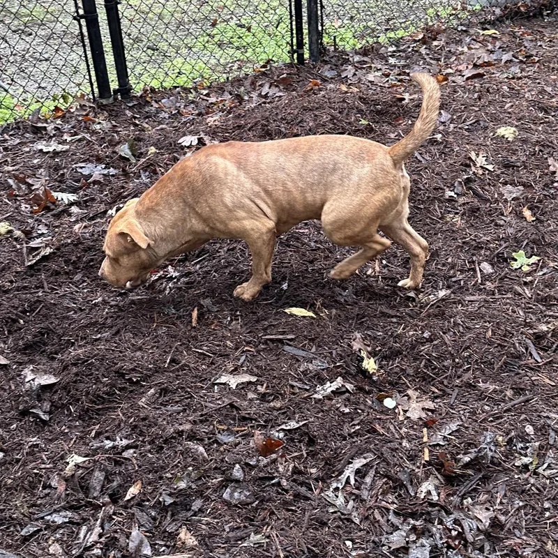 O'malley thumbnail 6