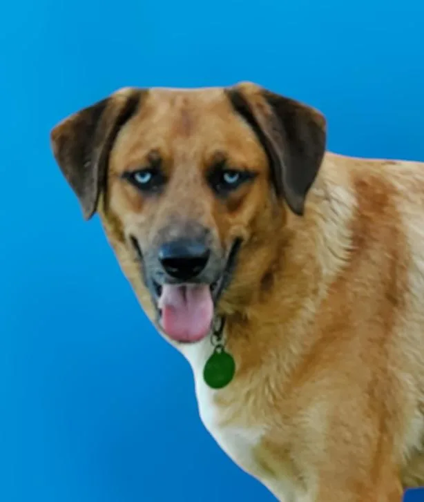 Brisbane thumbnail 2