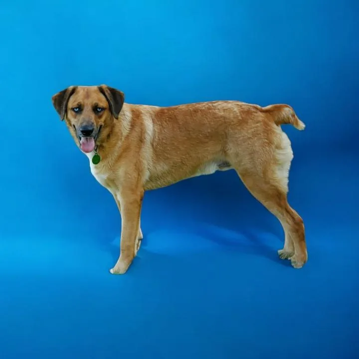 Brisbane thumbnail 3