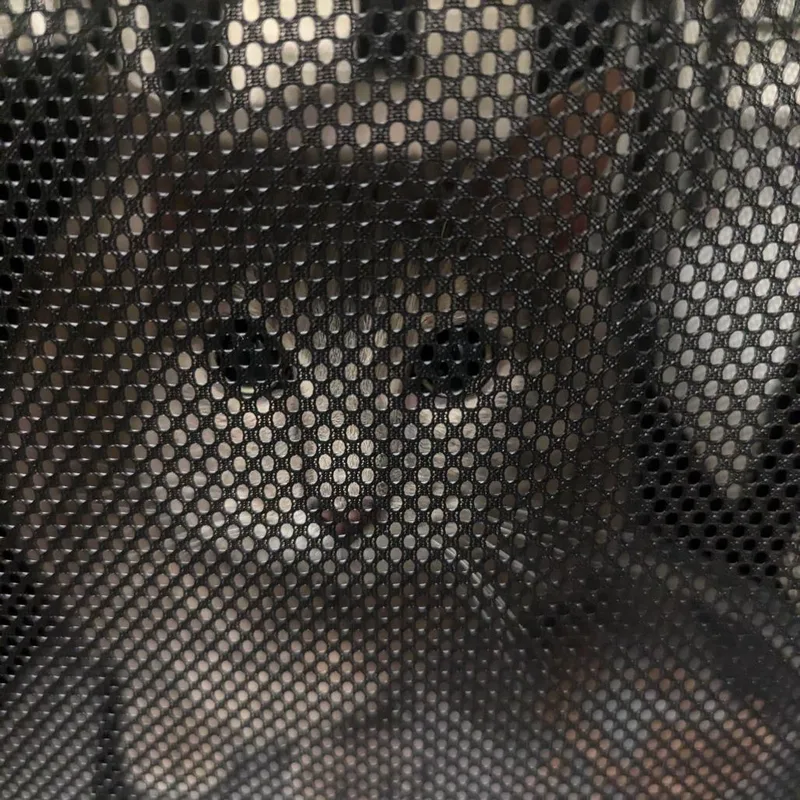 A senior extra large-sized female Gray / Blue / Silver Domestic Short Hair cat named Arya for adoption in Charlottesville, VA