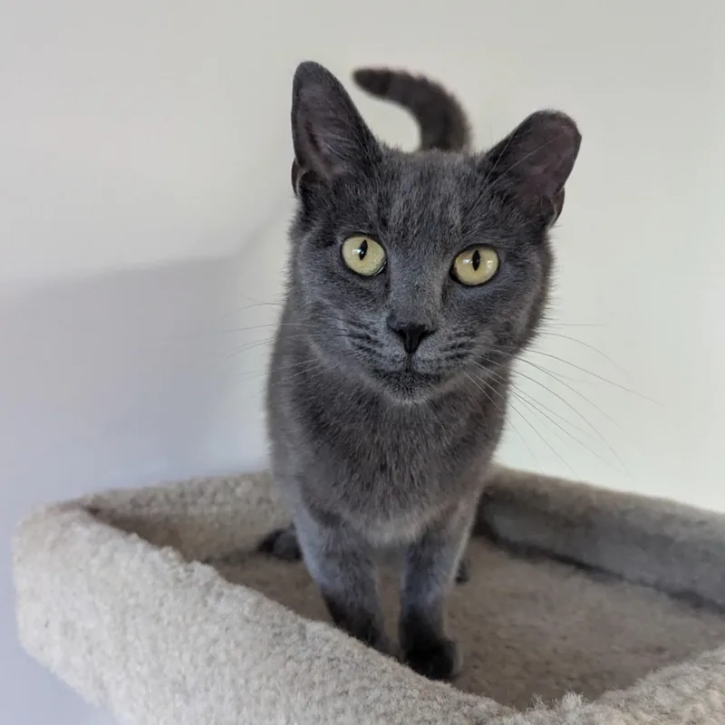 Nora Bean Md thumbnail 3