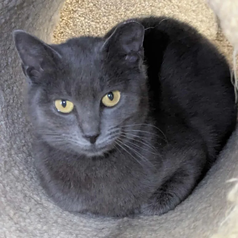 Nora Bean Md thumbnail 4