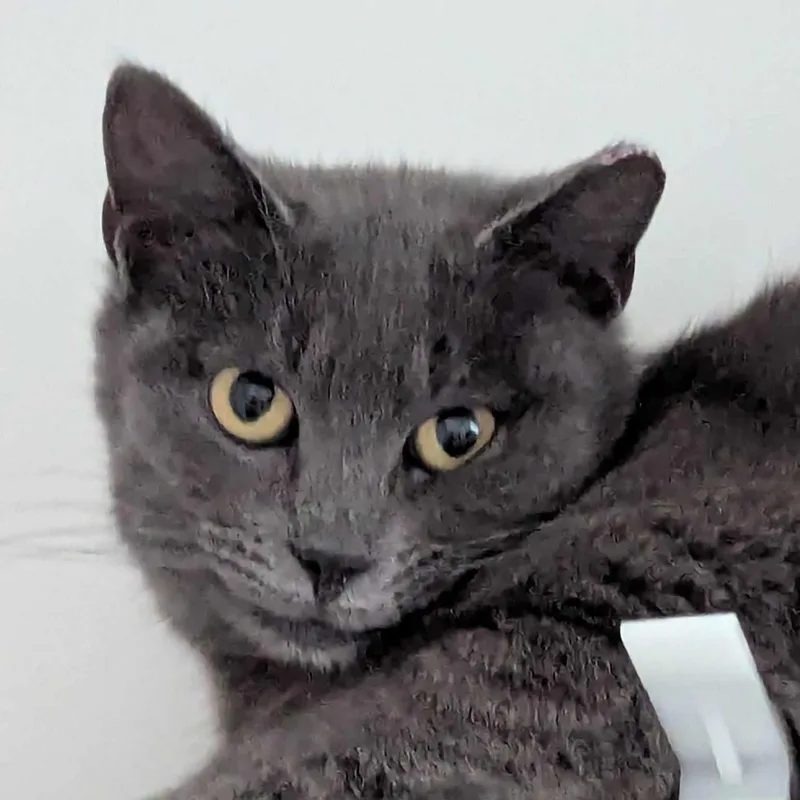 Nora Bean Md thumbnail 5