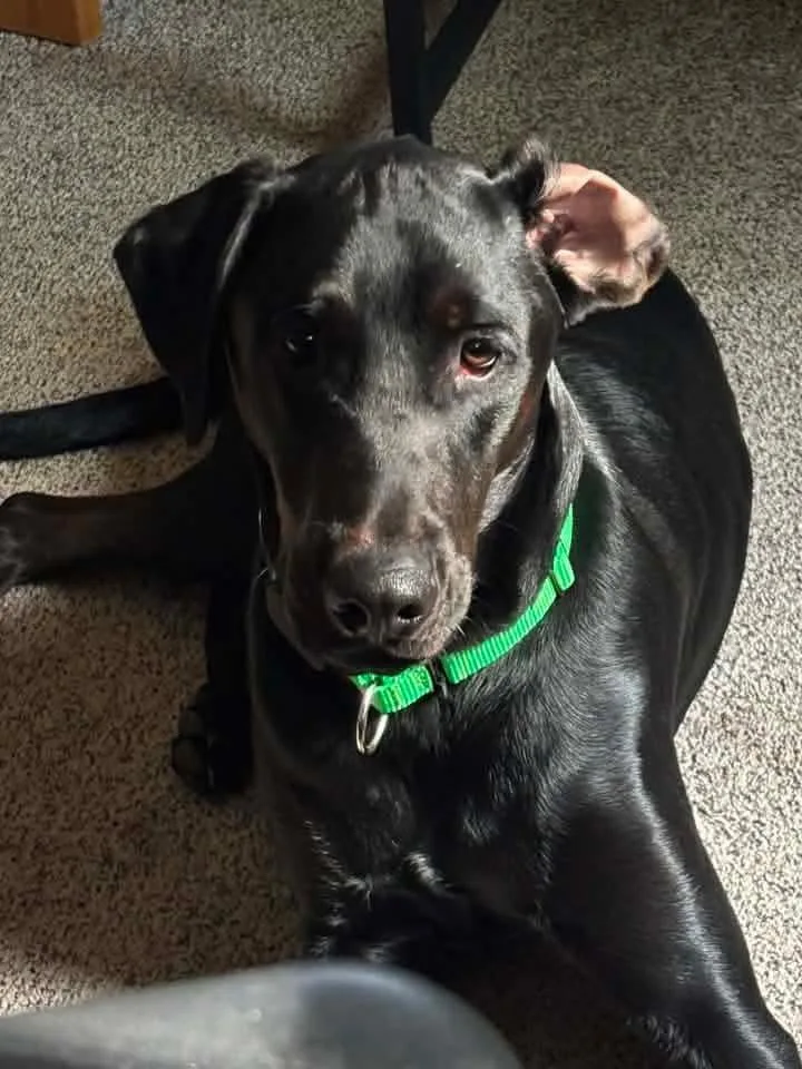 Winston thumbnail 2