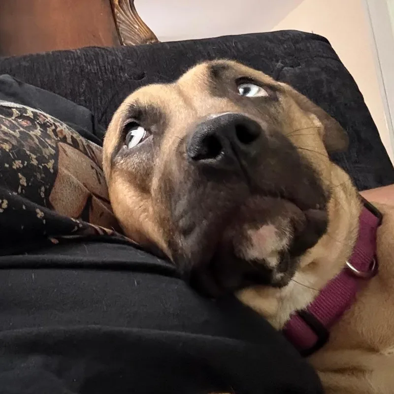 Coco thumbnail 2