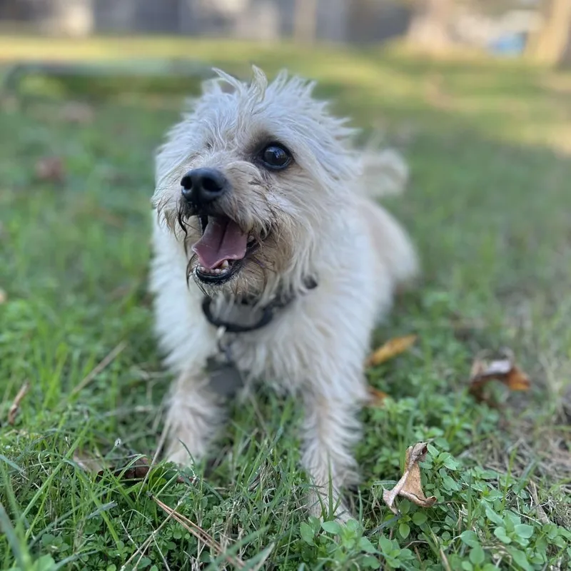 Mylo Eli thumbnail 2