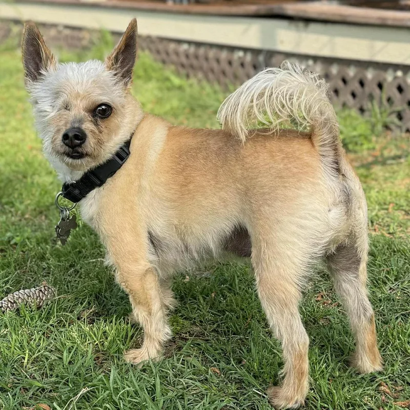 Mylo Eli thumbnail 3