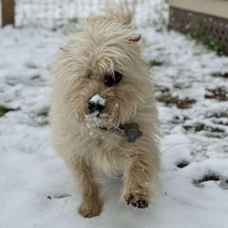 Mylo Eli thumbnail 5