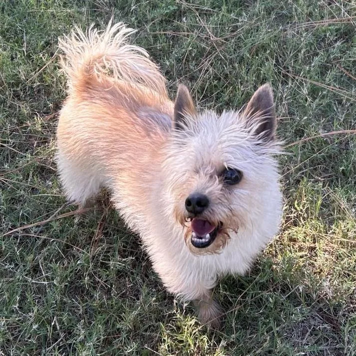 Mylo Eli thumbnail 6