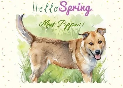 Pippa thumbnail 2
