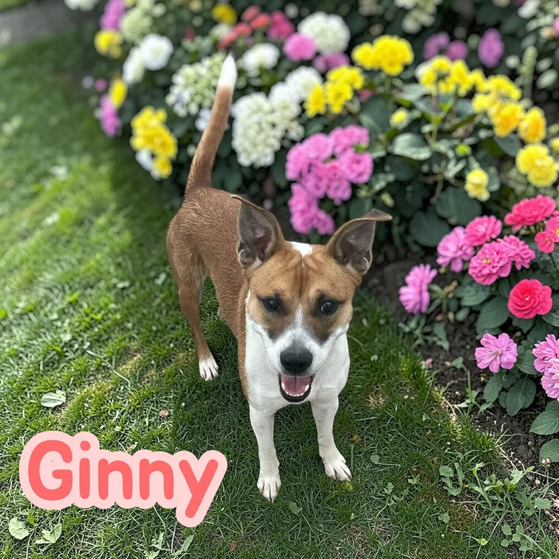 Ginny  Your new thumbnail 3