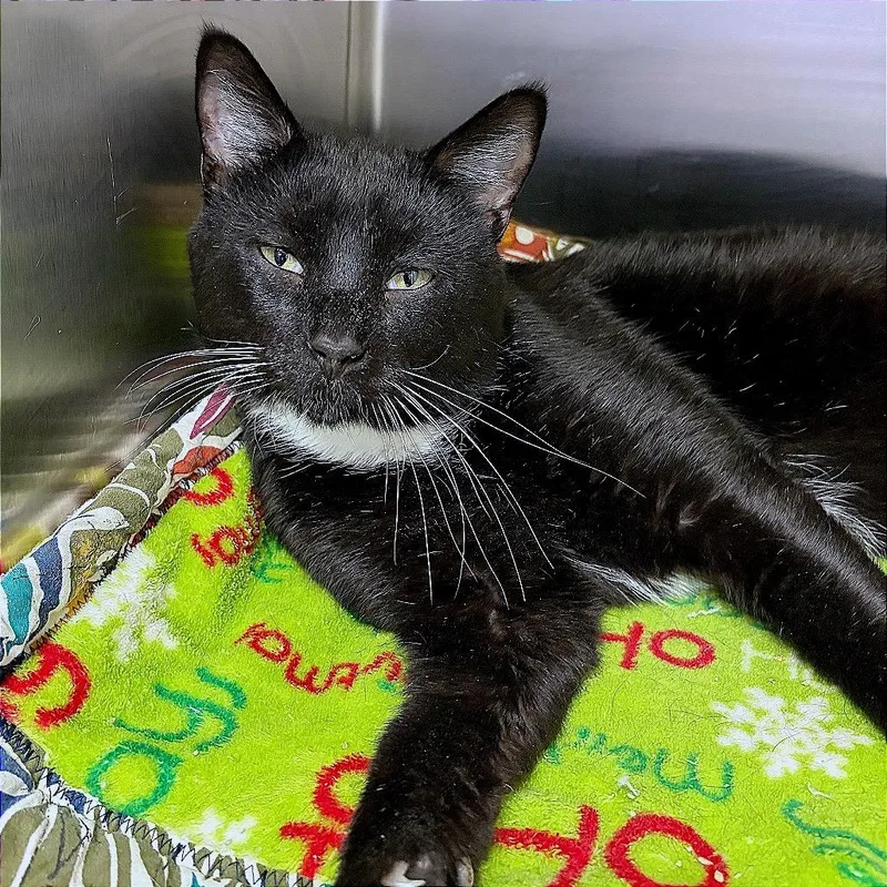 Douglass thumbnail 2