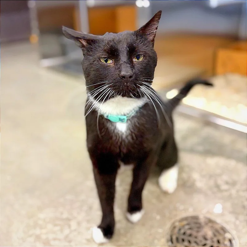 Douglass thumbnail 3