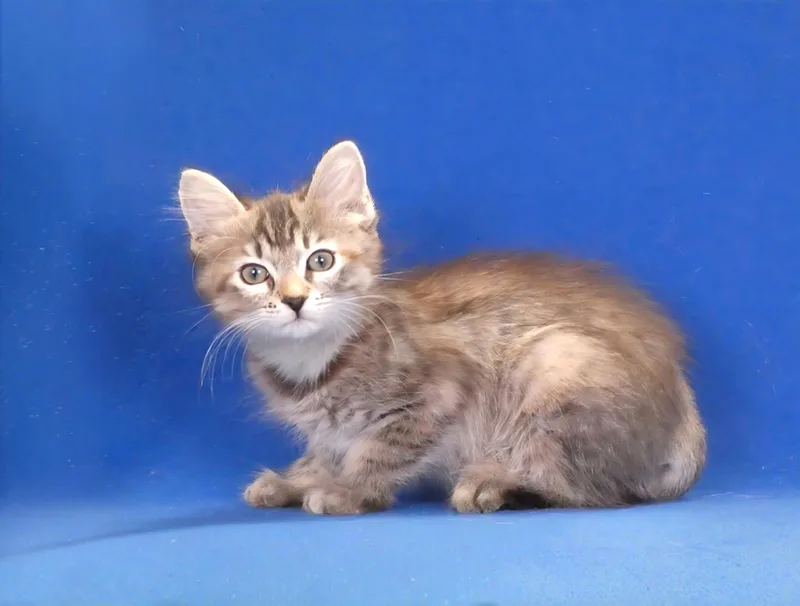 Delilah thumbnail 2