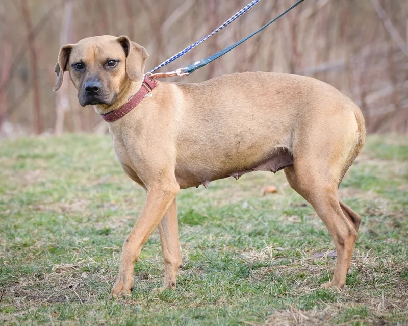 Toni Ann thumbnail 2