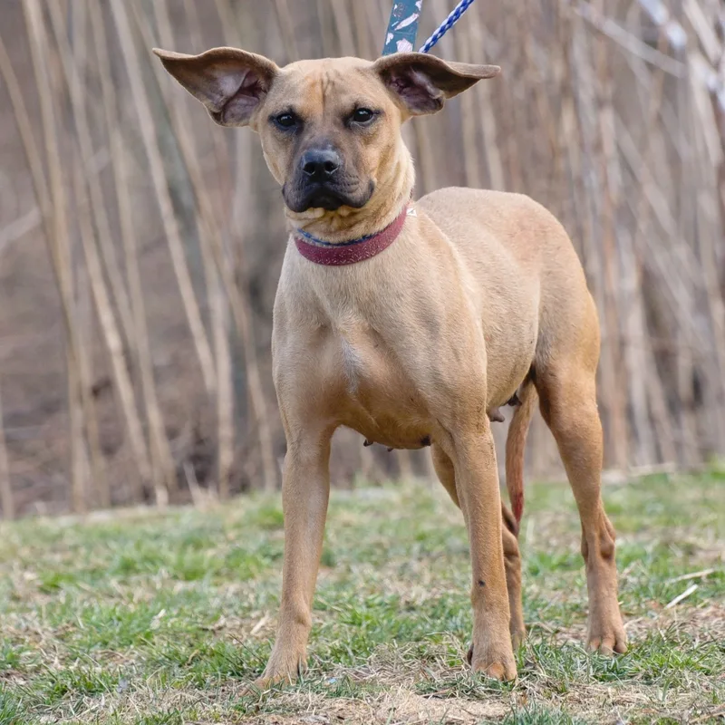 Toni Ann thumbnail 3