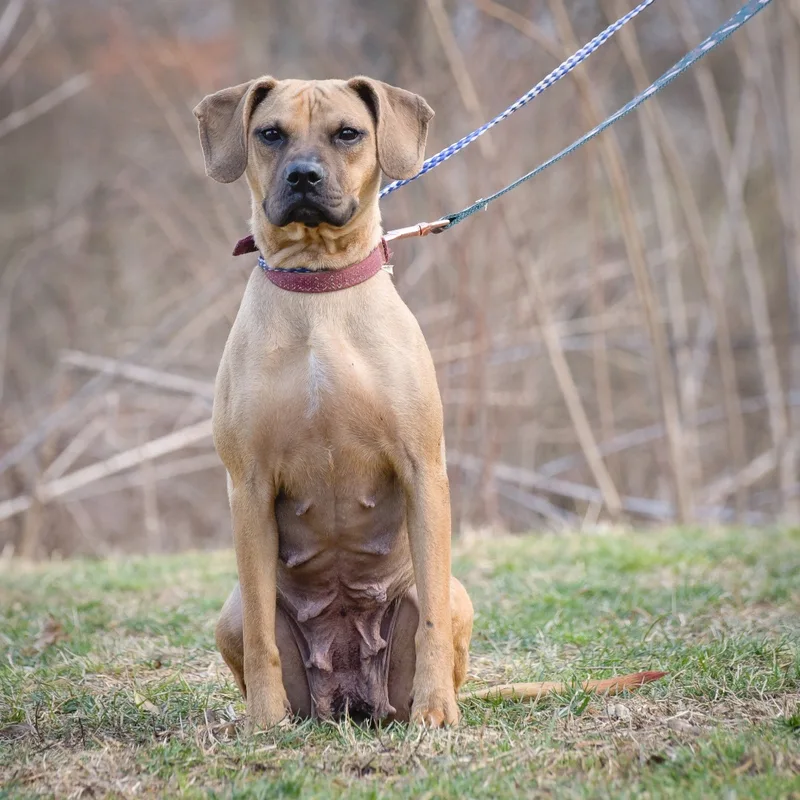 Toni Ann thumbnail 4