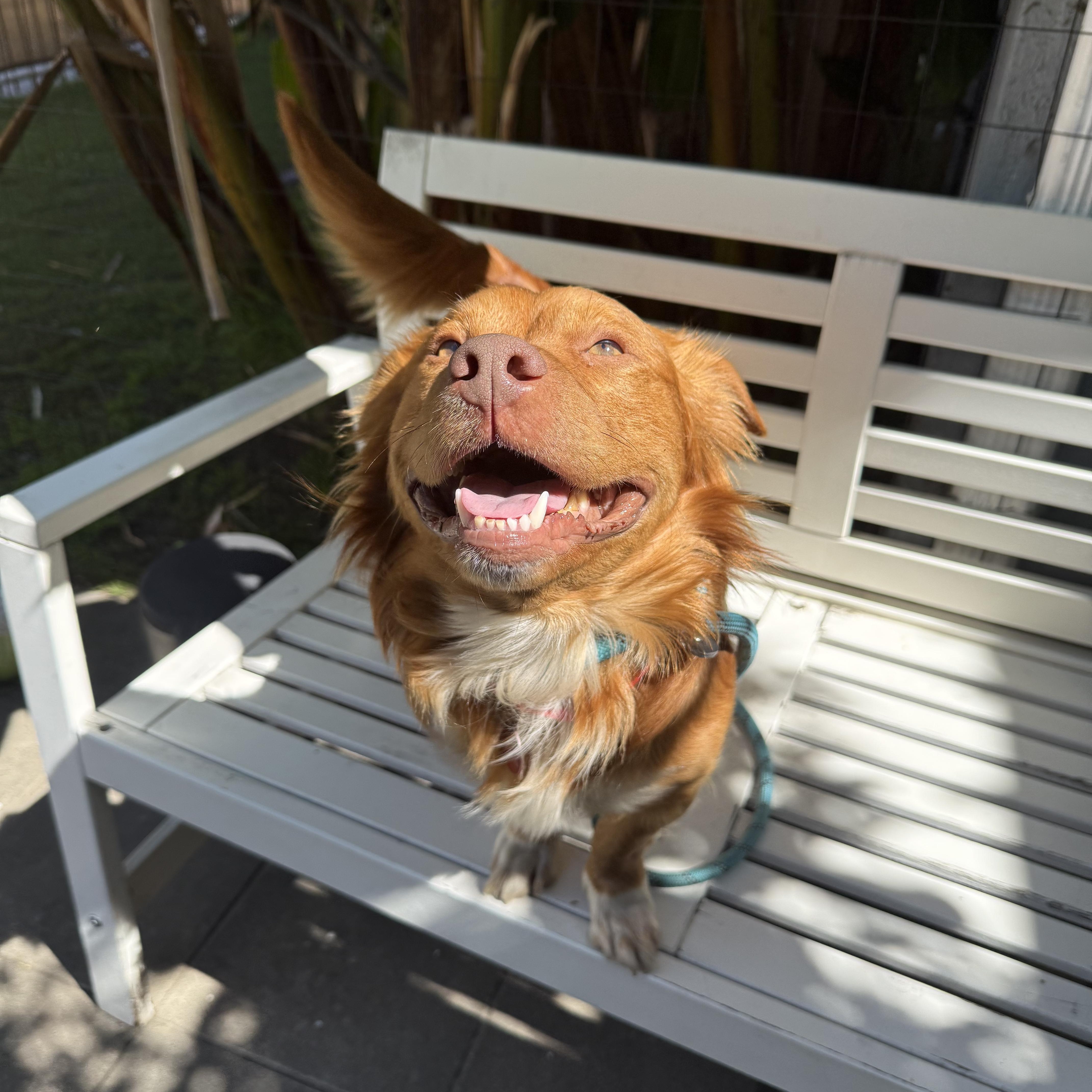 Thurston thumbnail 4