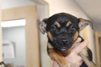 Minnie thumbnail 2