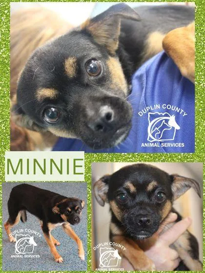 Minnie thumbnail 3