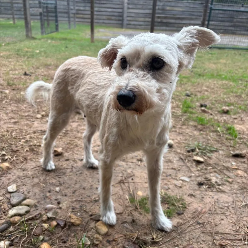 Nancy Wheeler thumbnail 2