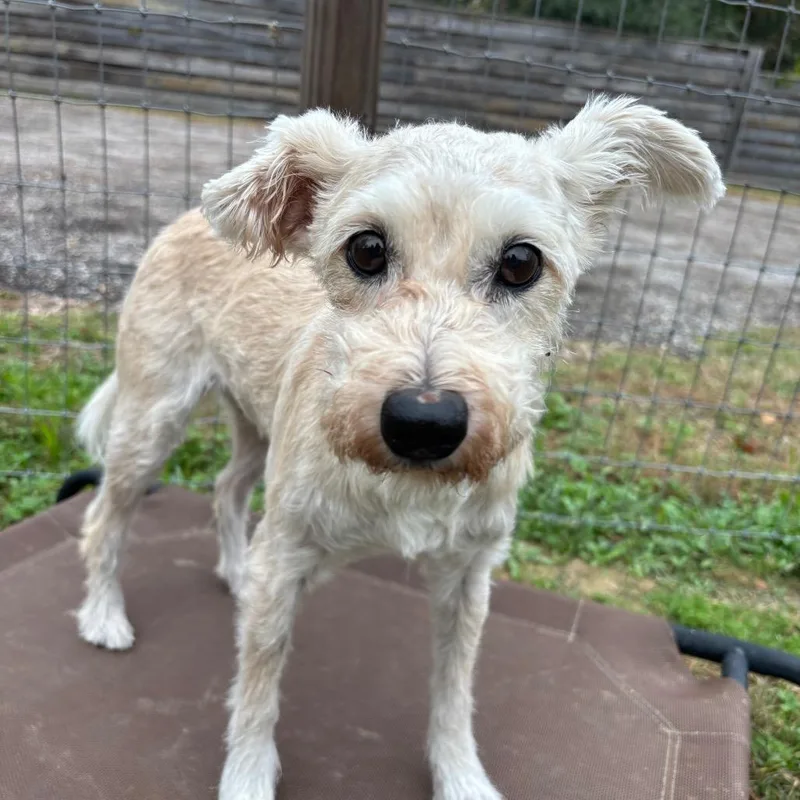 Nancy Wheeler thumbnail 3