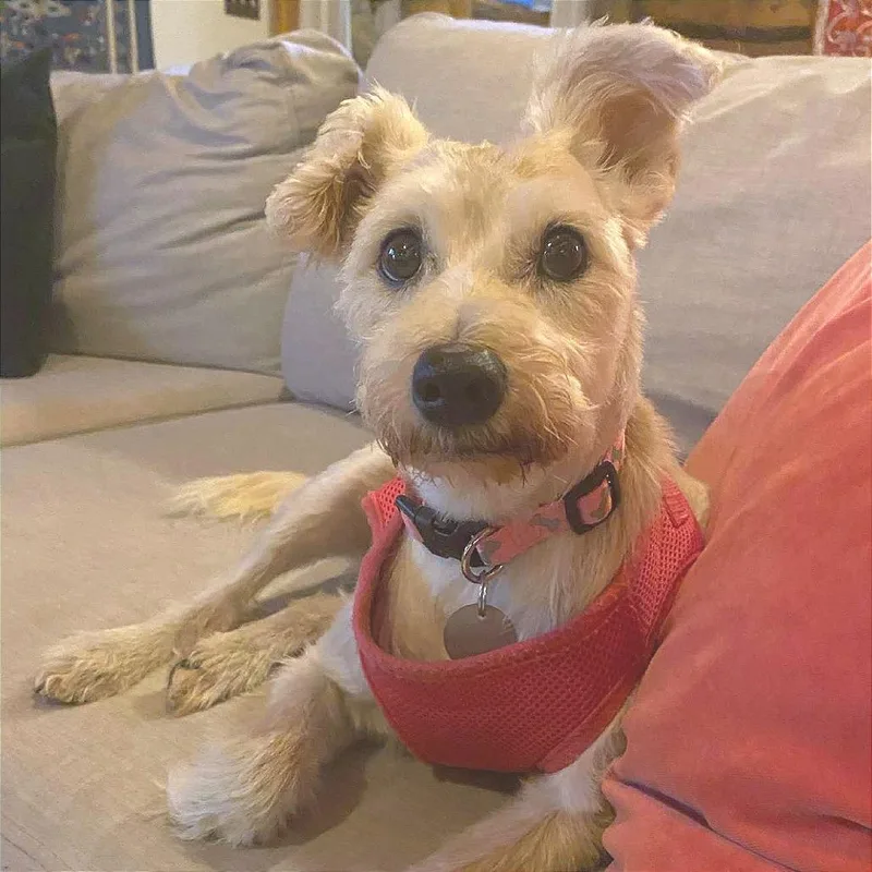 Nancy Wheeler thumbnail 4