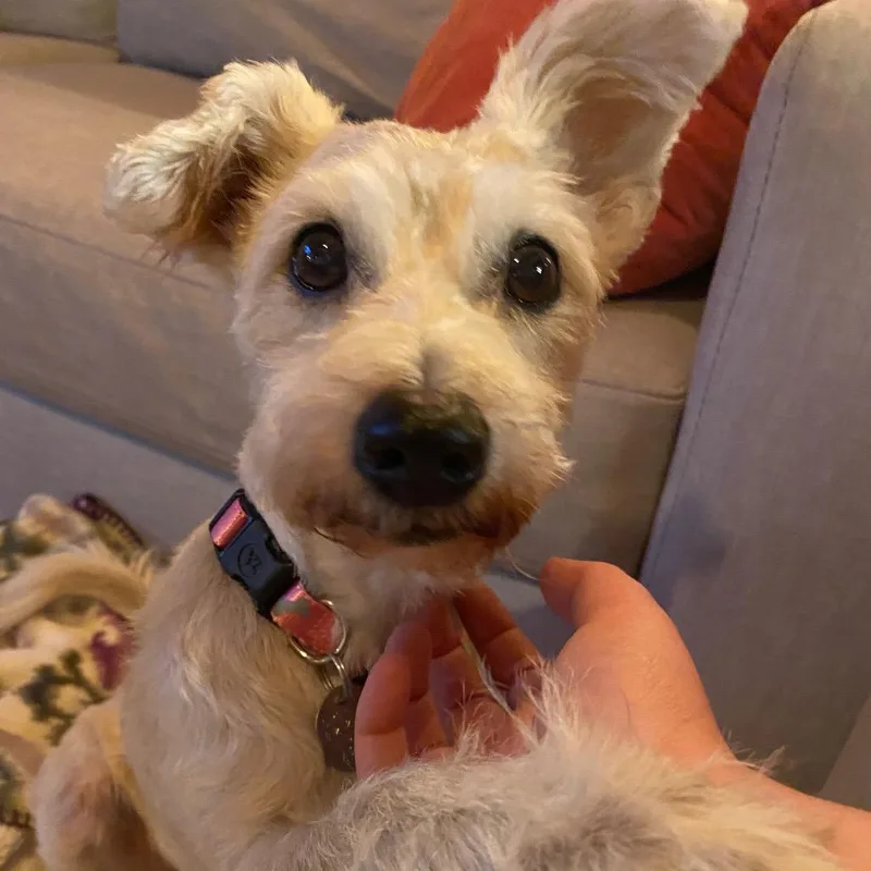 Nancy Wheeler thumbnail 5