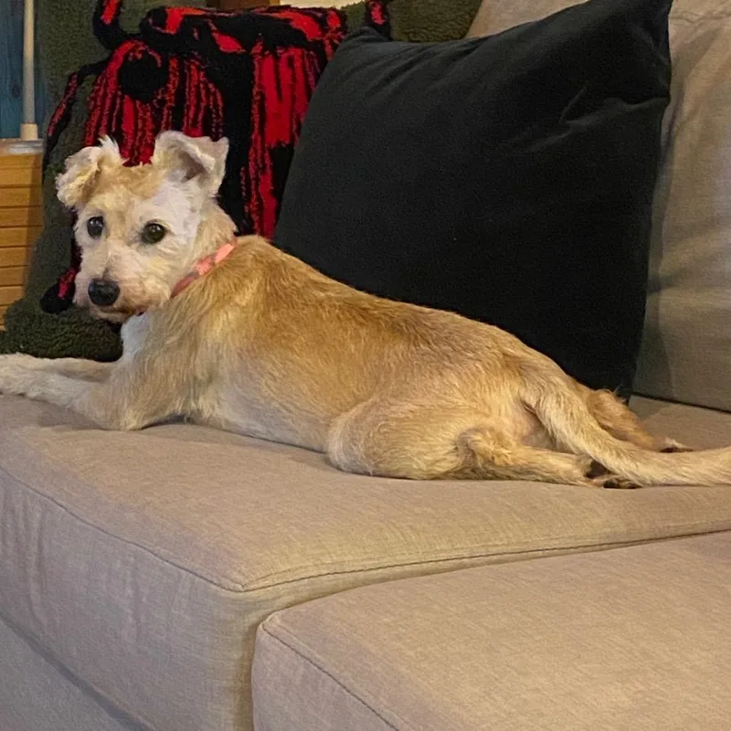 Nancy Wheeler thumbnail 6