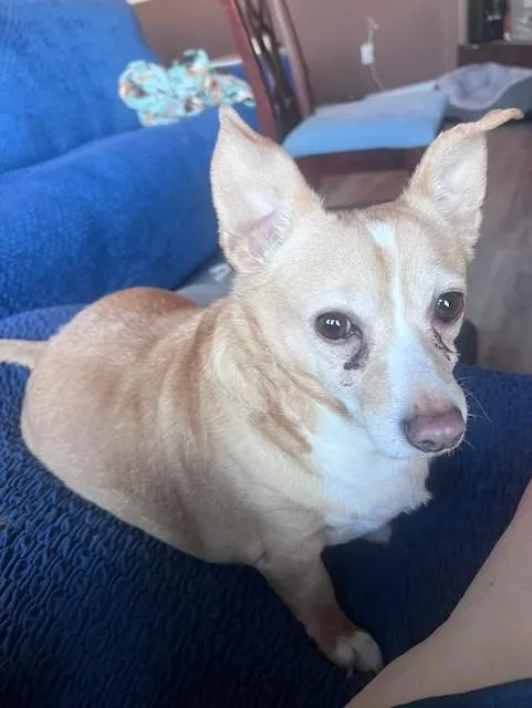 Patty & Shadow thumbnail 3