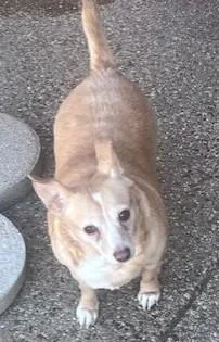 Patty & Shadow thumbnail 5