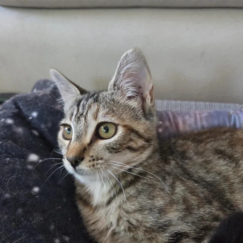 Eleanor