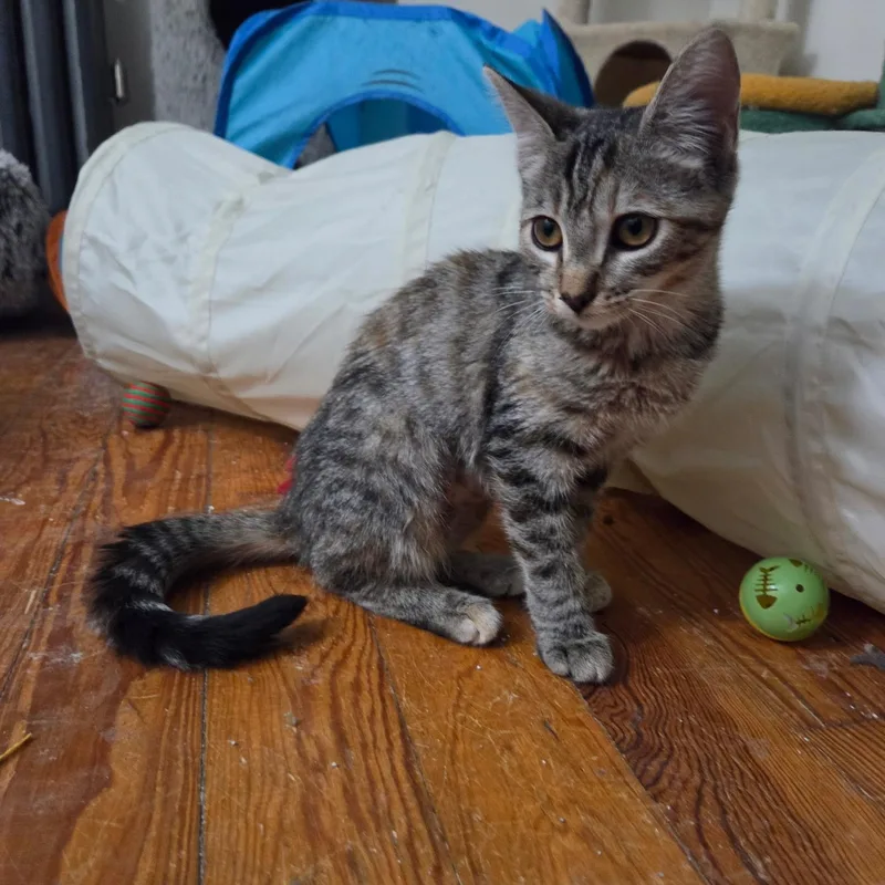 Eleanor thumbnail 4