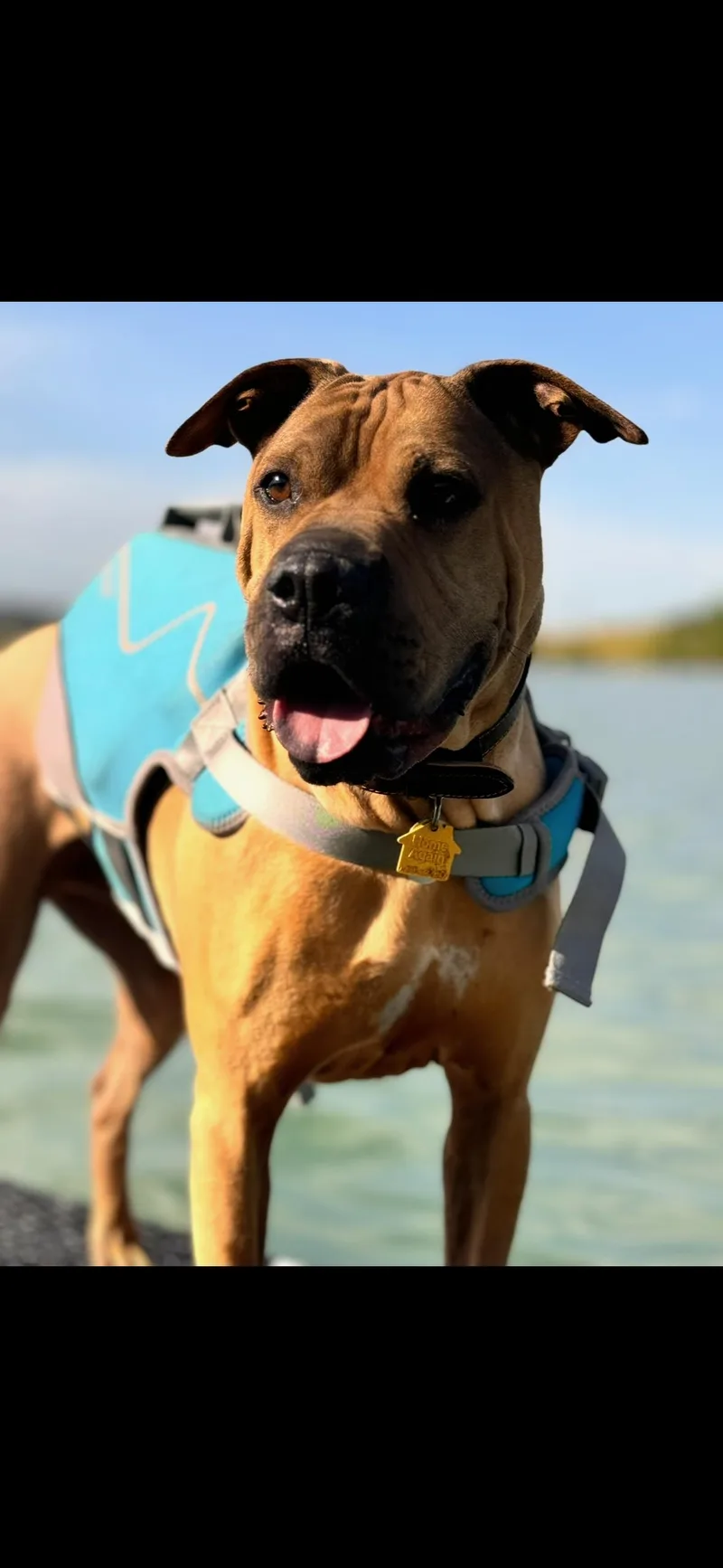 Odin Courtesy Listing