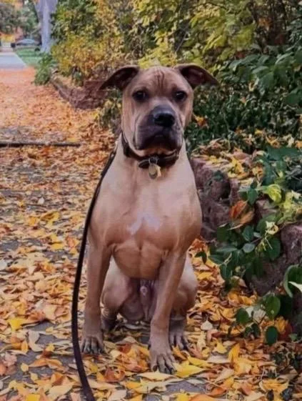 Odin Courtesy Listing thumbnail 2