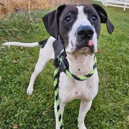 Remington thumbnail 2