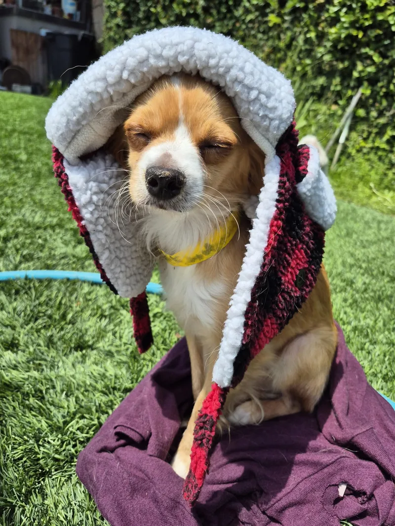 Cinnabon Man! thumbnail 5