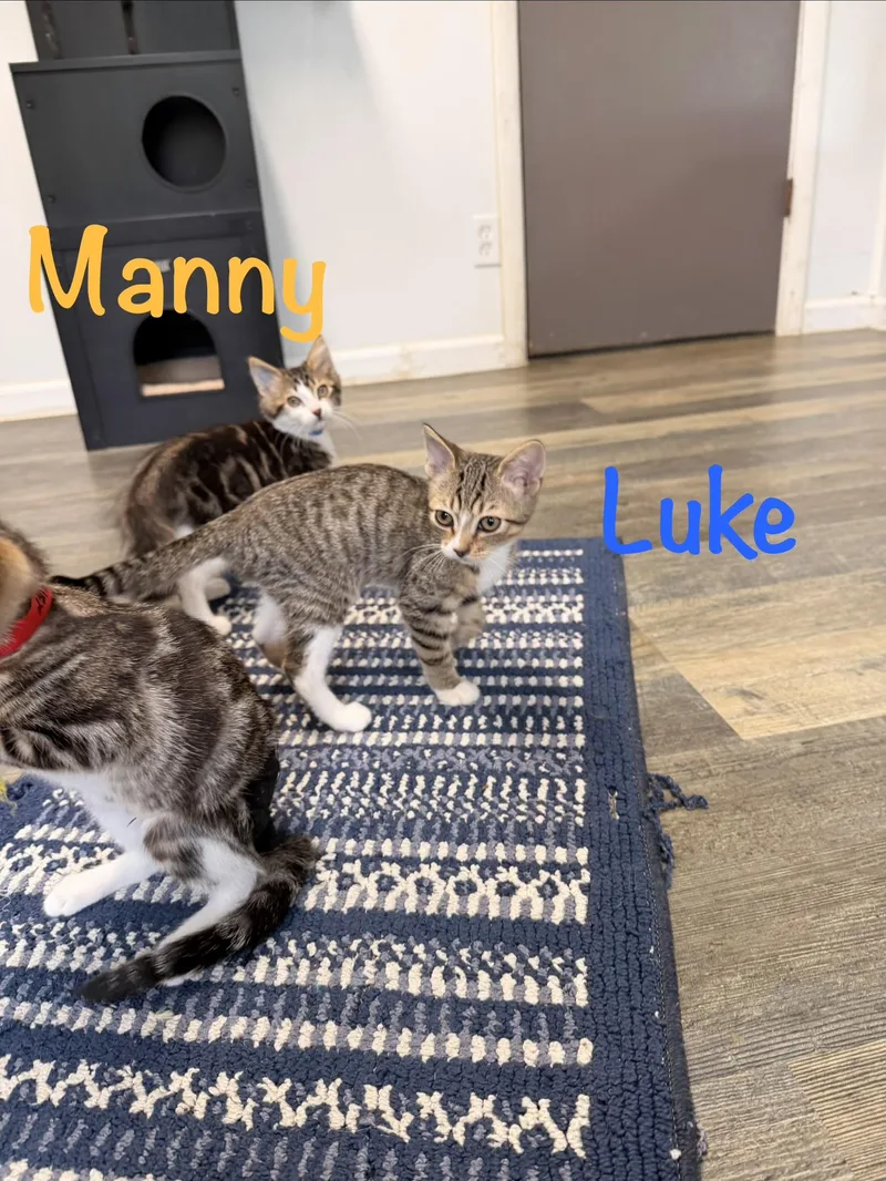 Luke thumbnail 3