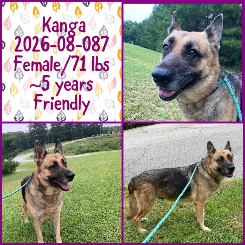 Kanga