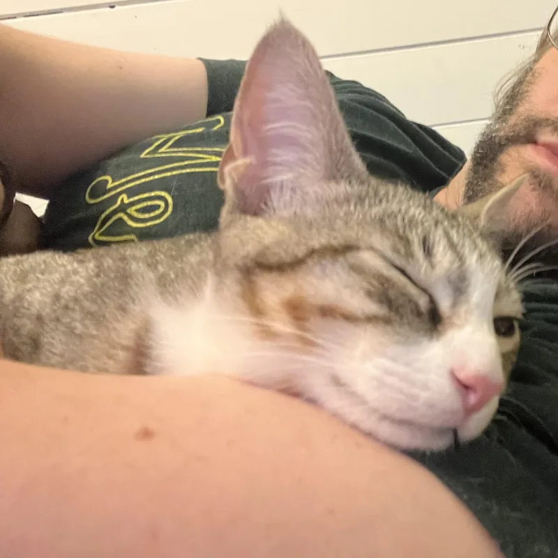 Poppy  Snuggly Mischief thumbnail 3