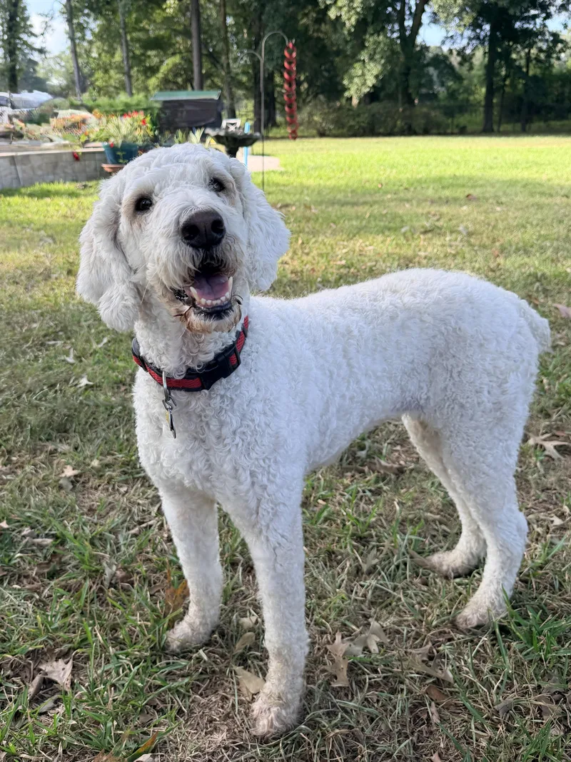 Haylee thumbnail 2