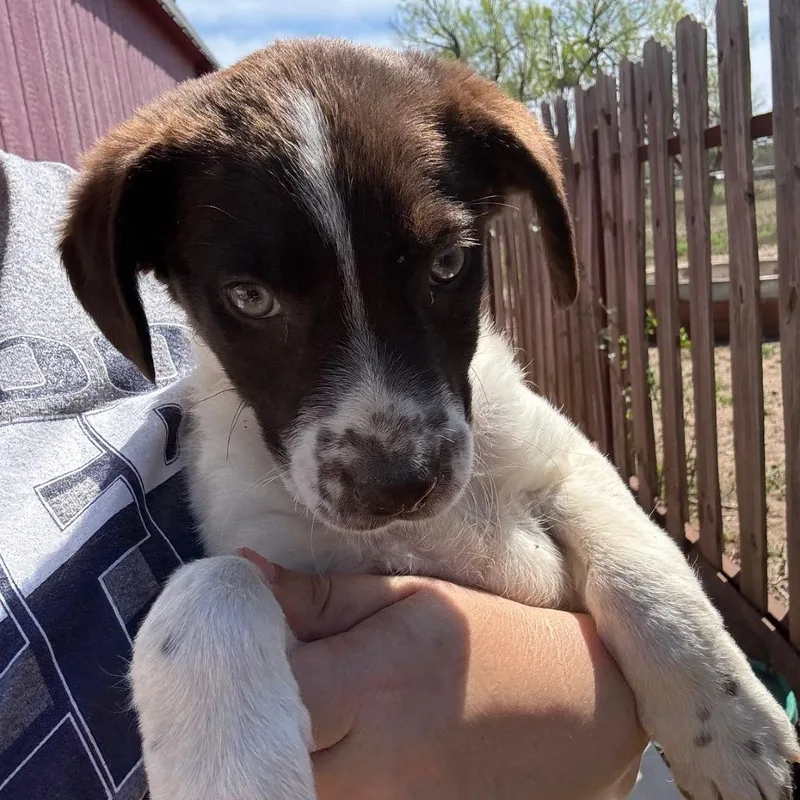 Freckles thumbnail 2